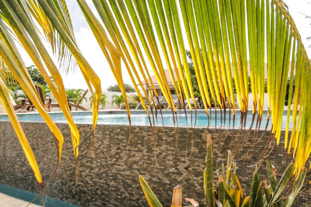 Abc Lodges Curacao Willemstad Zewnętrze zdjęcie
