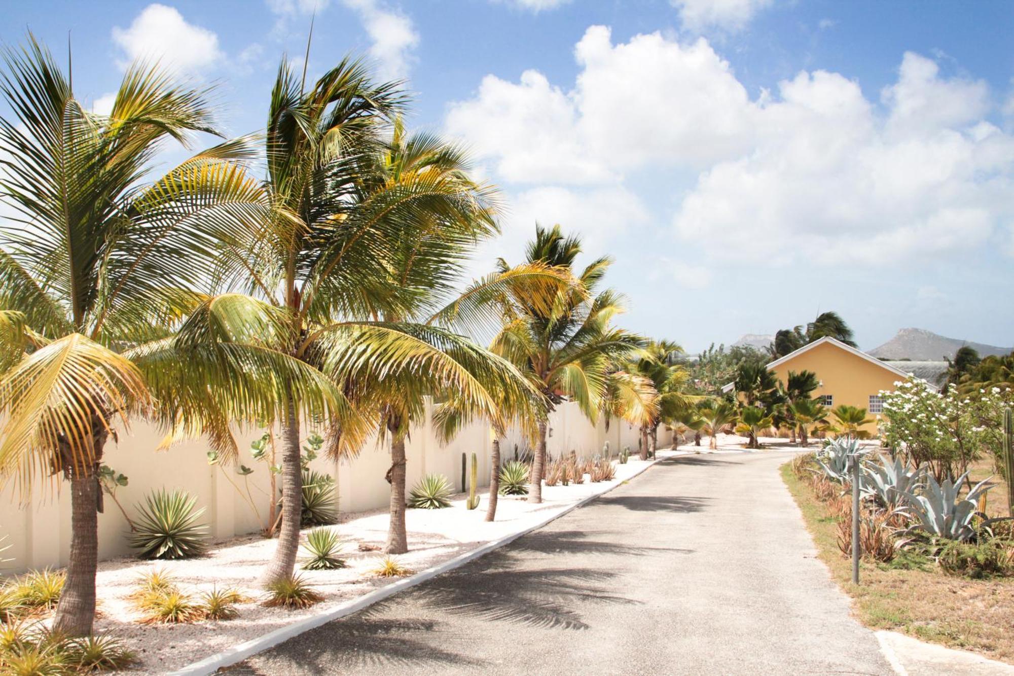 Abc Lodges Curacao Willemstad Zewnętrze zdjęcie