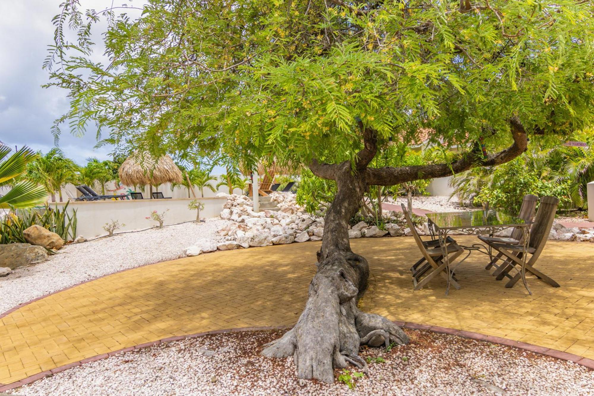 Abc Lodges Curacao Willemstad Zewnętrze zdjęcie