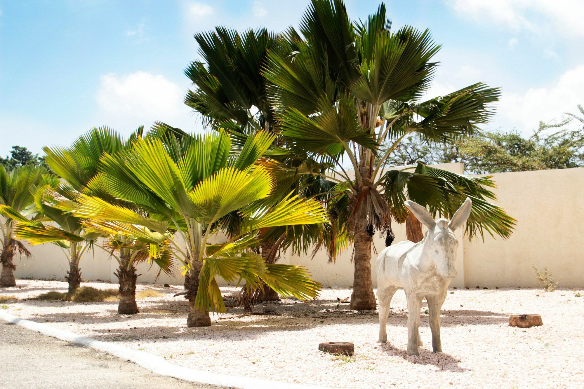 Abc Lodges Curacao Willemstad Zewnętrze zdjęcie